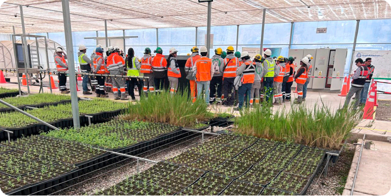 Anglo American Perú